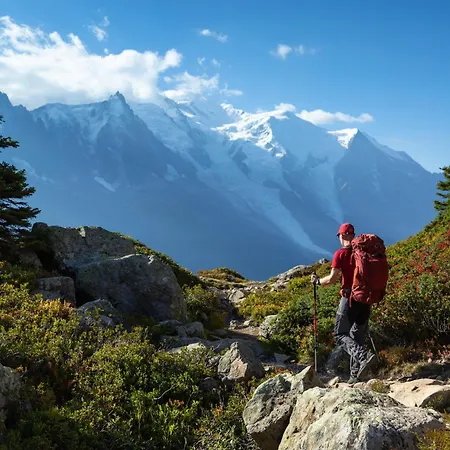 Androsace 31 - Happy * Chamonix