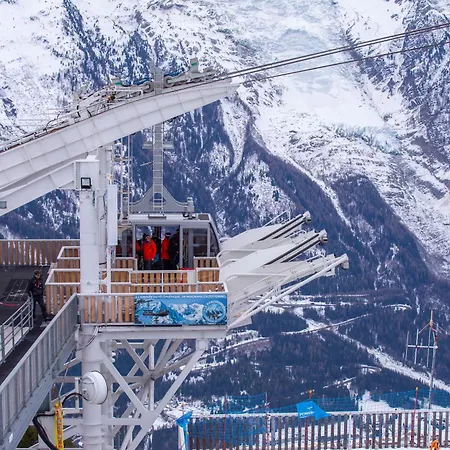 Androsace 31 - Happy Chamonix