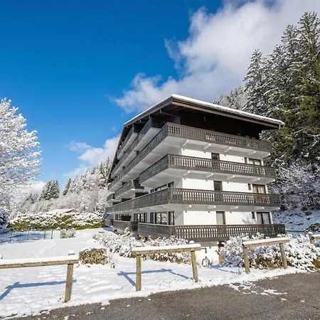 Androsace 31 - Happy Apartman Chamonix