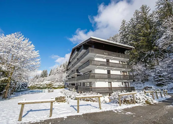 Androsace 31 - Happy Apartman Chamonix